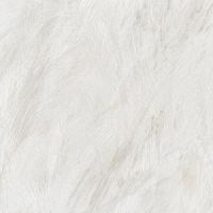 Gạch Trường Thịnh ANIMAL LAND FP8002